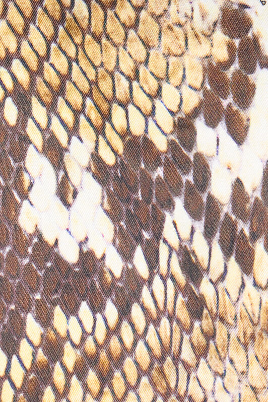 RC Python Print Jacket Light Brown UWT405-4QN93