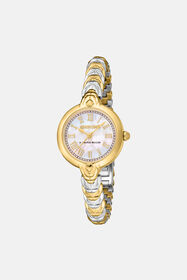 ${brand} Roberto Cavalli by Frank Muller Logo watch ${colorDescription} ${masterID}