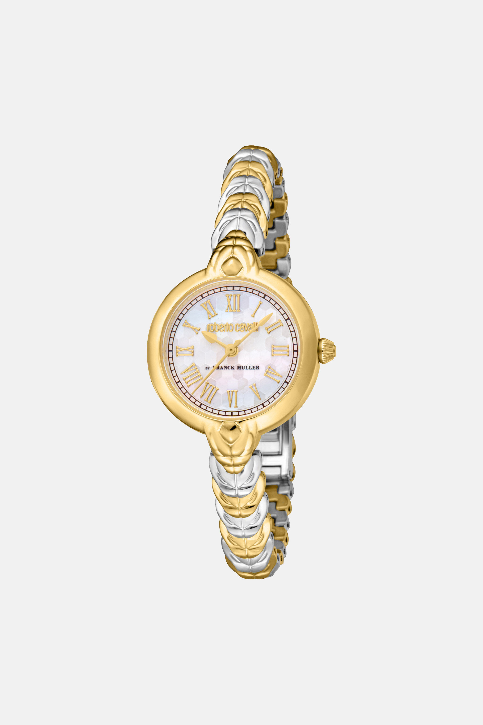 RC Roberto Cavalli by Frank Muller Logo watch Silver/Gold SALG22-IG166