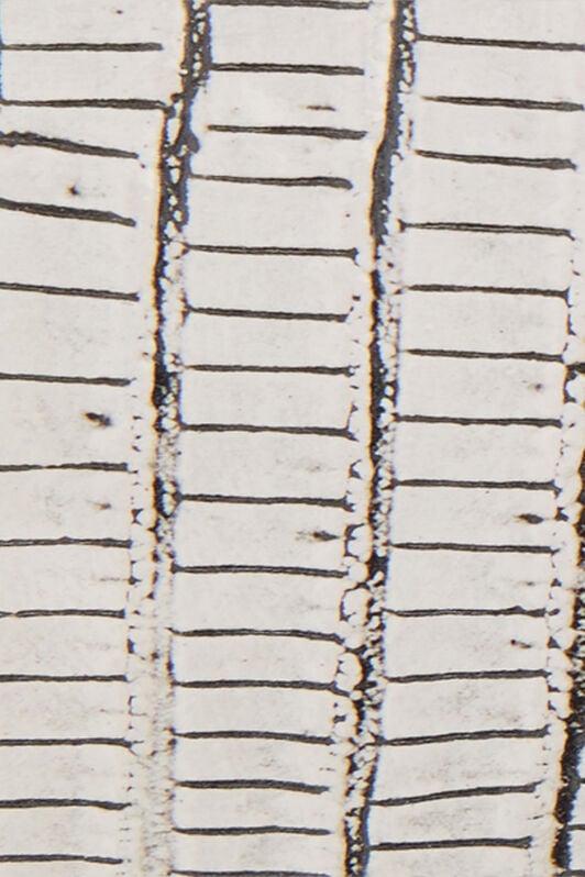 RC White Leather Belt With Snake Buckle BONE WKC001-PZ119