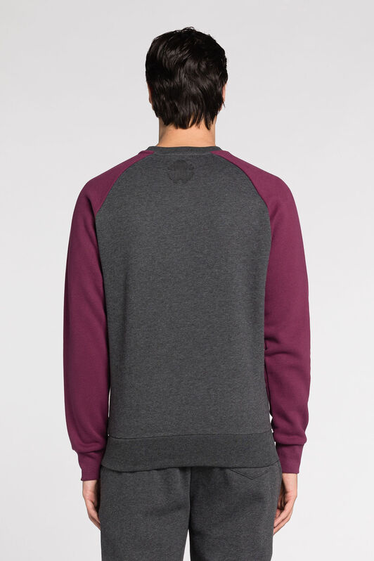 RC Sweat à imprimé tigre Dark Grey JST65A-CF062