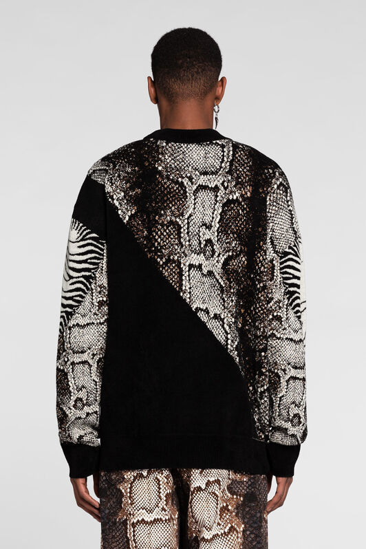 RC Embroidered Python-Jacquard Sweater RC Embroidered Python-Jacquard Sweater MULTICOLOR PNM610-MR001