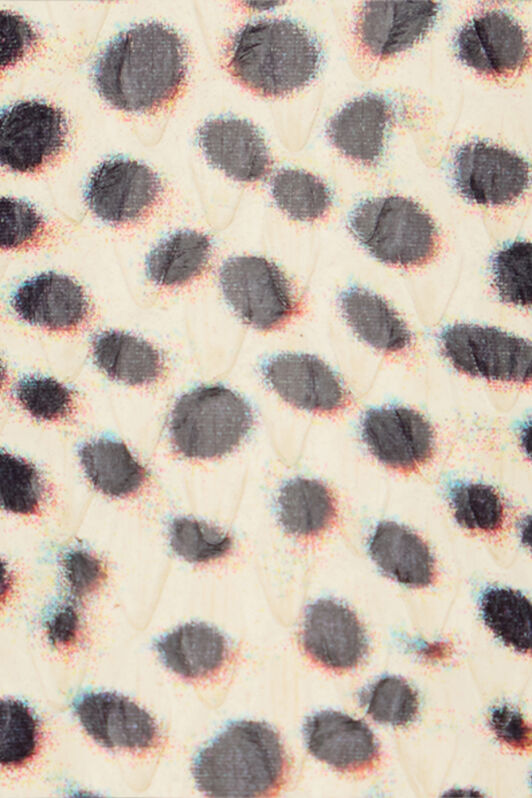 RC Shark Print Leather Slingbacks ST.SHARK TKS043-PA045