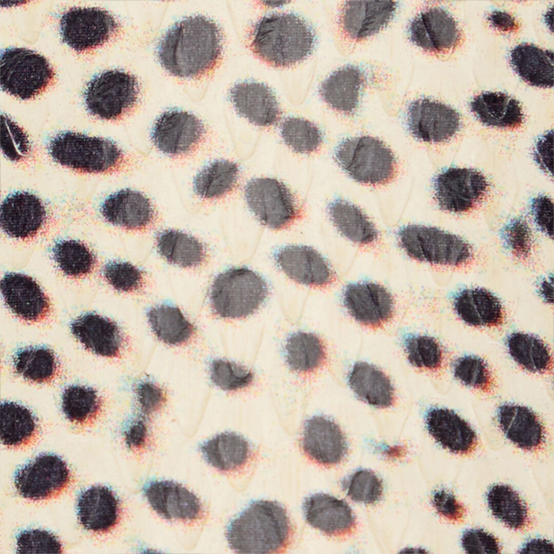 RC Shark Print Leather Slingbacks ST.SHARK TKS043-PA045