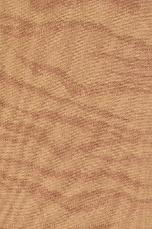 RC Sweatshirt Mit Kapuze Tiger Skin BEIGE OOT69B-5OO65