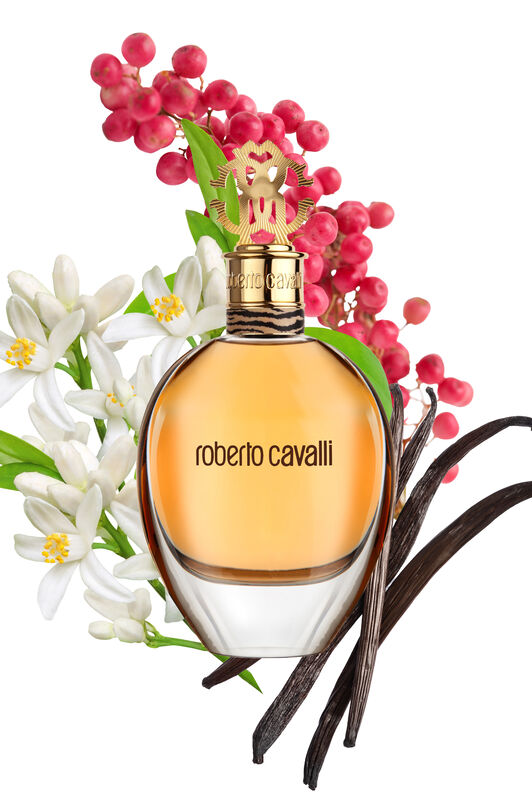 RC ROBERTO CAVALLI EAU DE PARFUM 50 ML RC ROBERTO CAVALLI EAU DE PARFUM 50 ML Gold SAW017-SA025