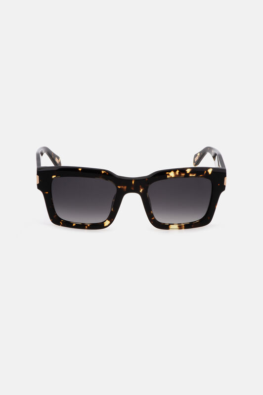 JC Lunettes de soleil Just Cavalli - Ornement serpent Marron foncé PD1282-PD148
