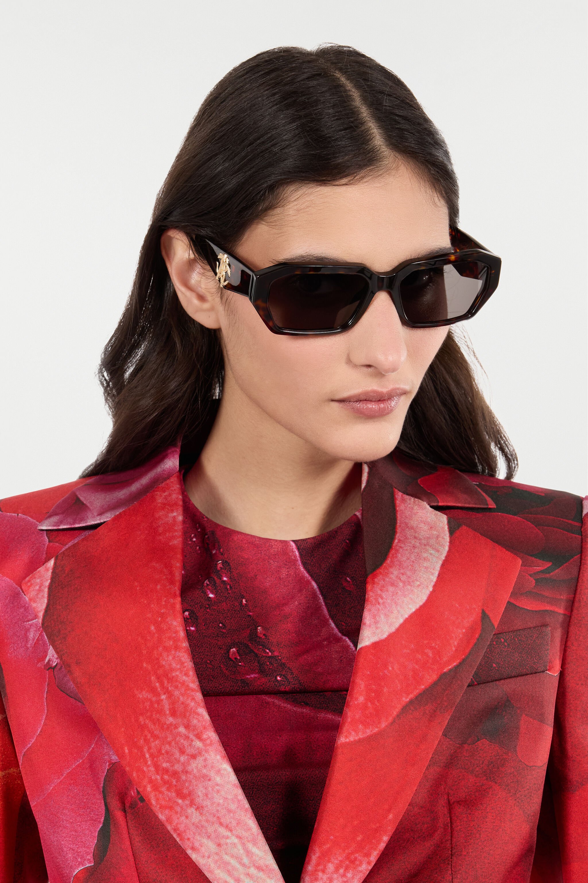 RC Sunglasses with wide rectangular front and fangs Braun ALD031-ID194
