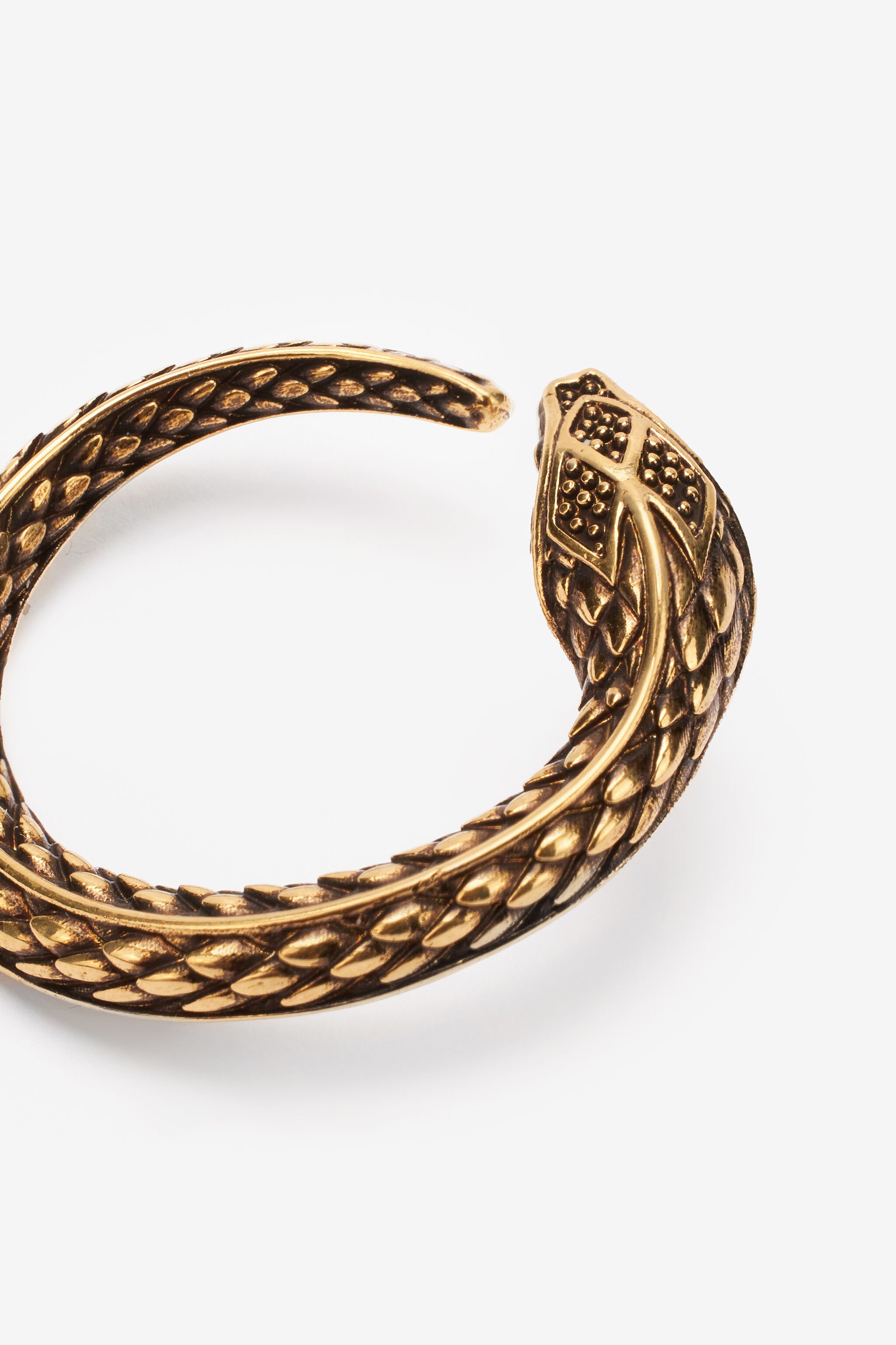 RC Snake Earrings Gold UKG007-AM001