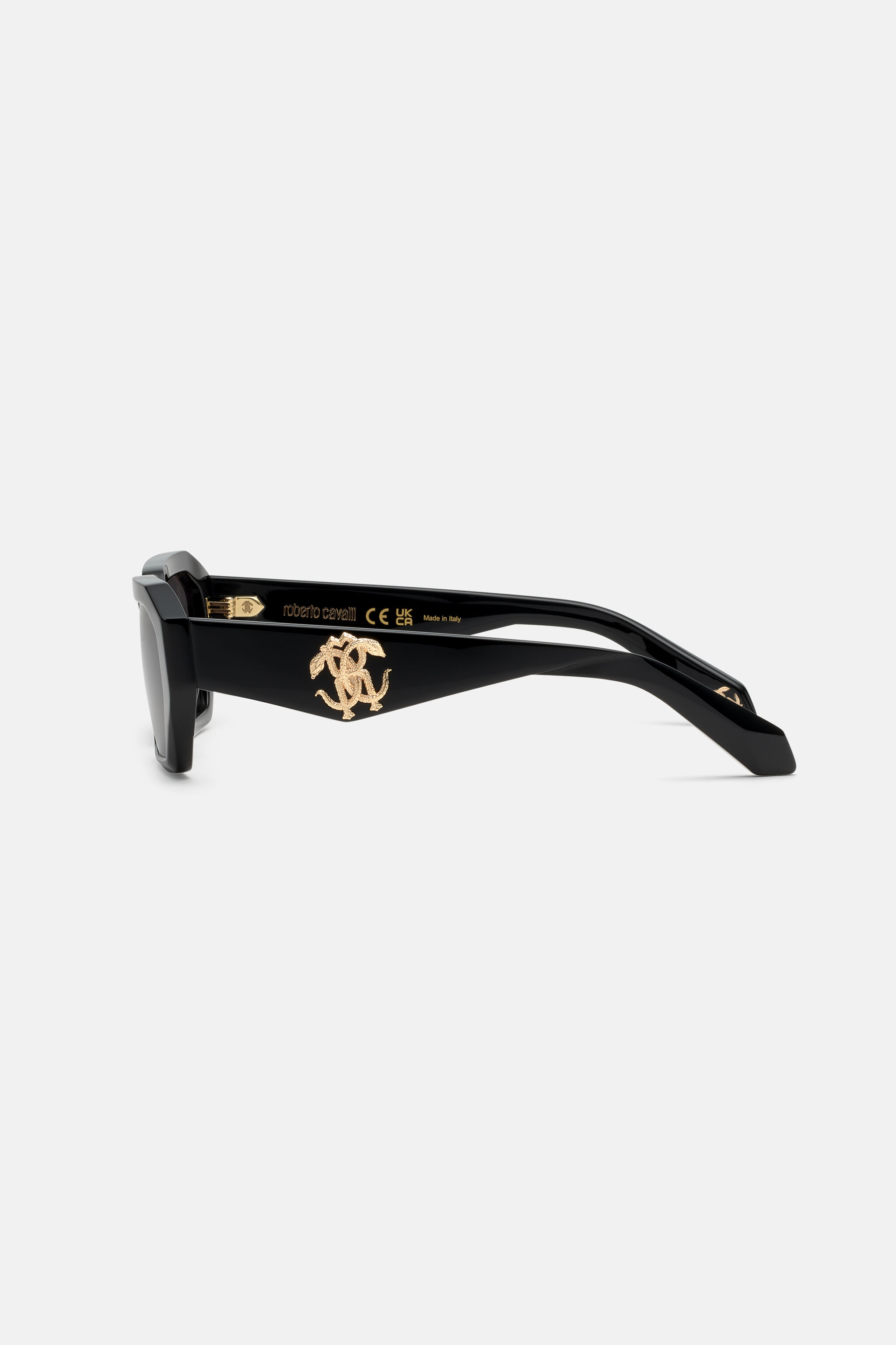 RC Sunglasses with rectangular front shape Black ALD031-ID194