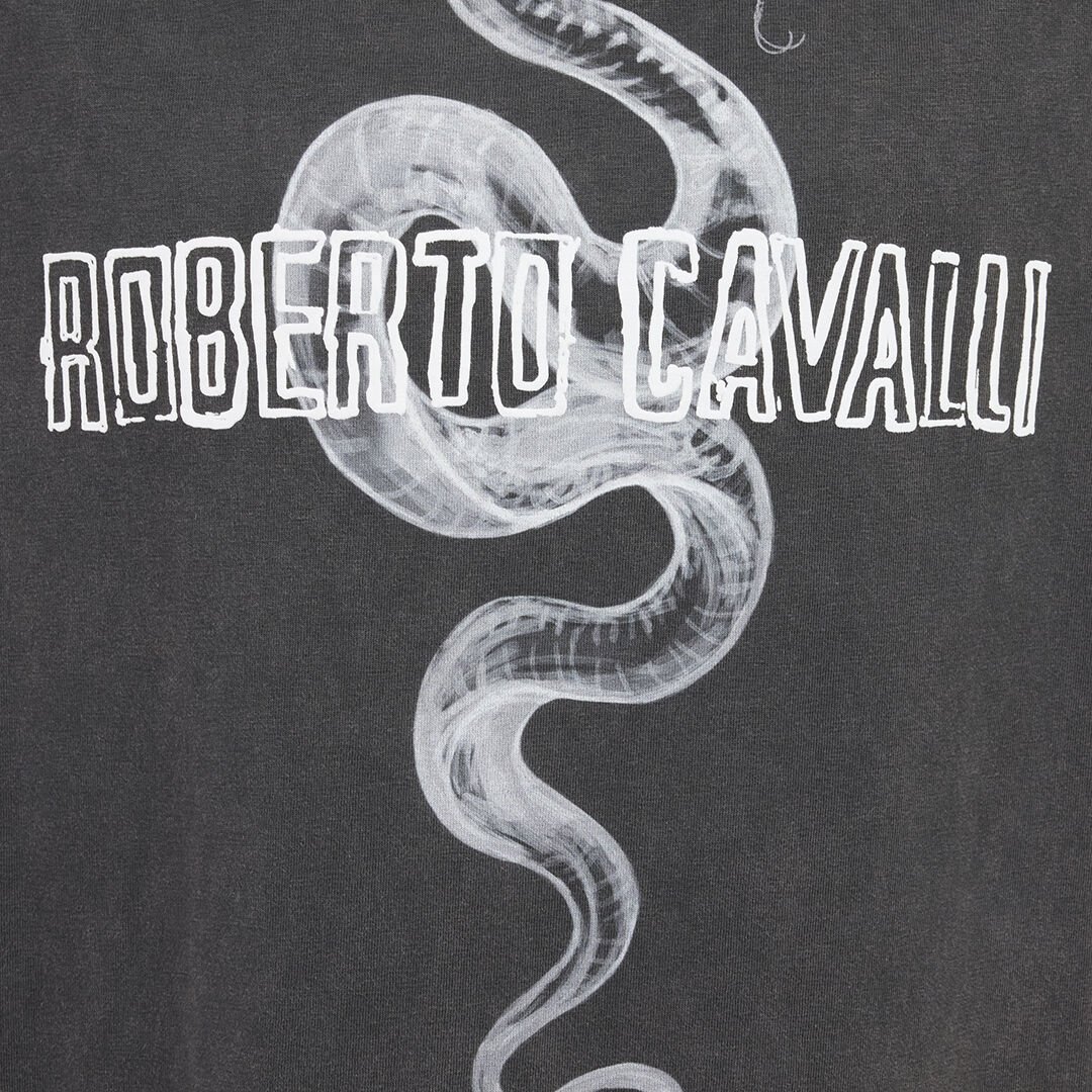 RC T-Shirt Grigia Con Stampa Logo Serpente RC T-Shirt Grigia Con Stampa Logo Serpente BLACK ROT60D-JD055