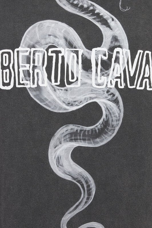 RC T-Shirt Grigia Con Stampa Logo Serpente RC T-Shirt Grigia Con Stampa Logo Serpente BLACK ROT60D-JD055