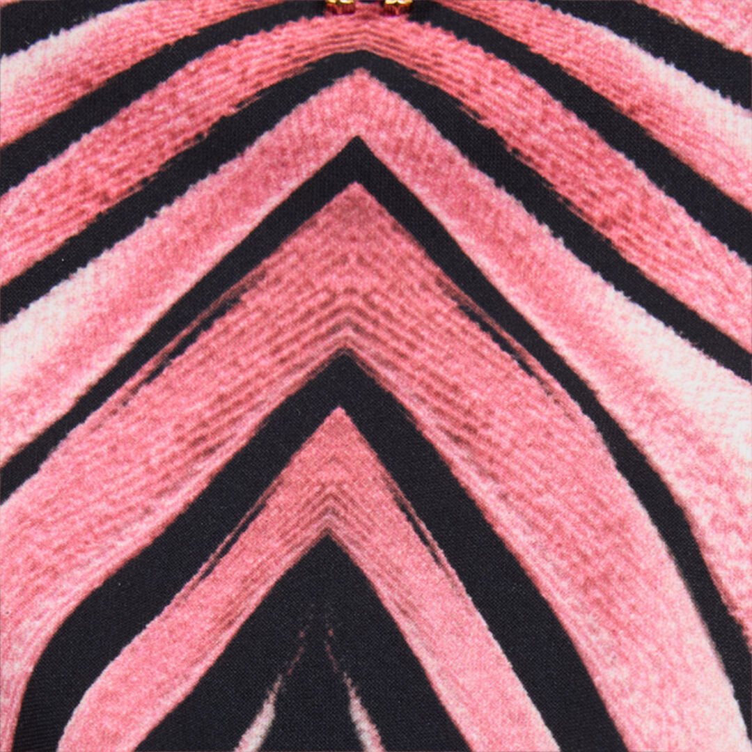 RC Swim Briefs With Ray Of Pink Print Pink VKW013-HVM33