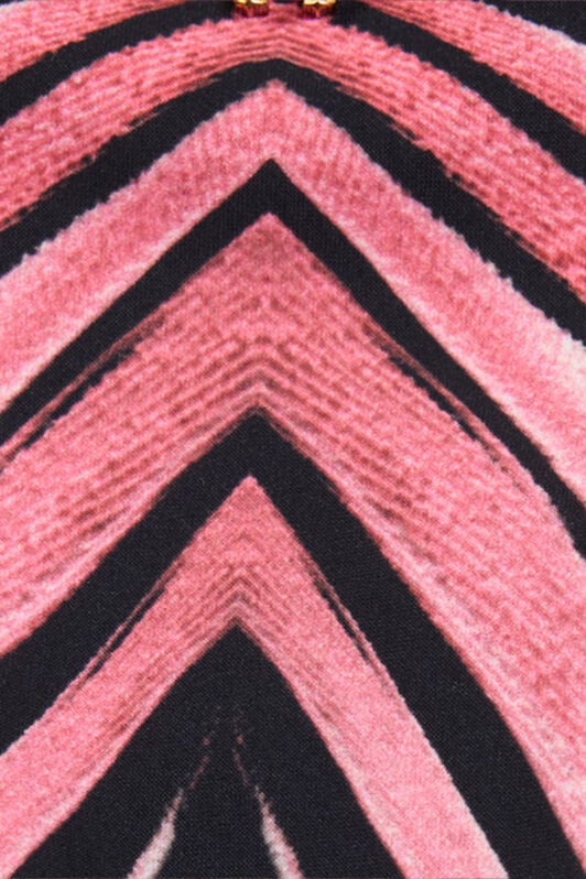 RC Swim Briefs With Ray Of Pink Print RC Swim Briefs With Ray Of Pink Print Pink VKW013-HVM33