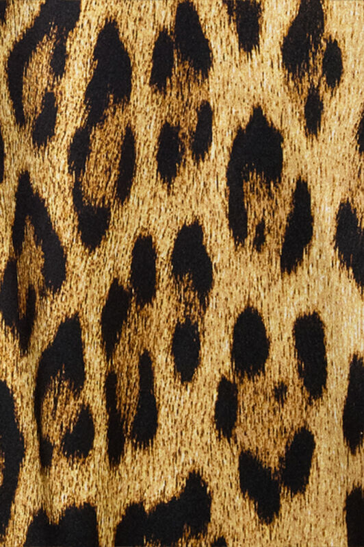 RC Silk Shirt with Jaguar Skin Print Marron VWT700-TYQ71