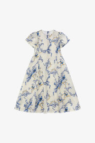 ${brand} Printed Dress ${colorDescription} ${masterID}