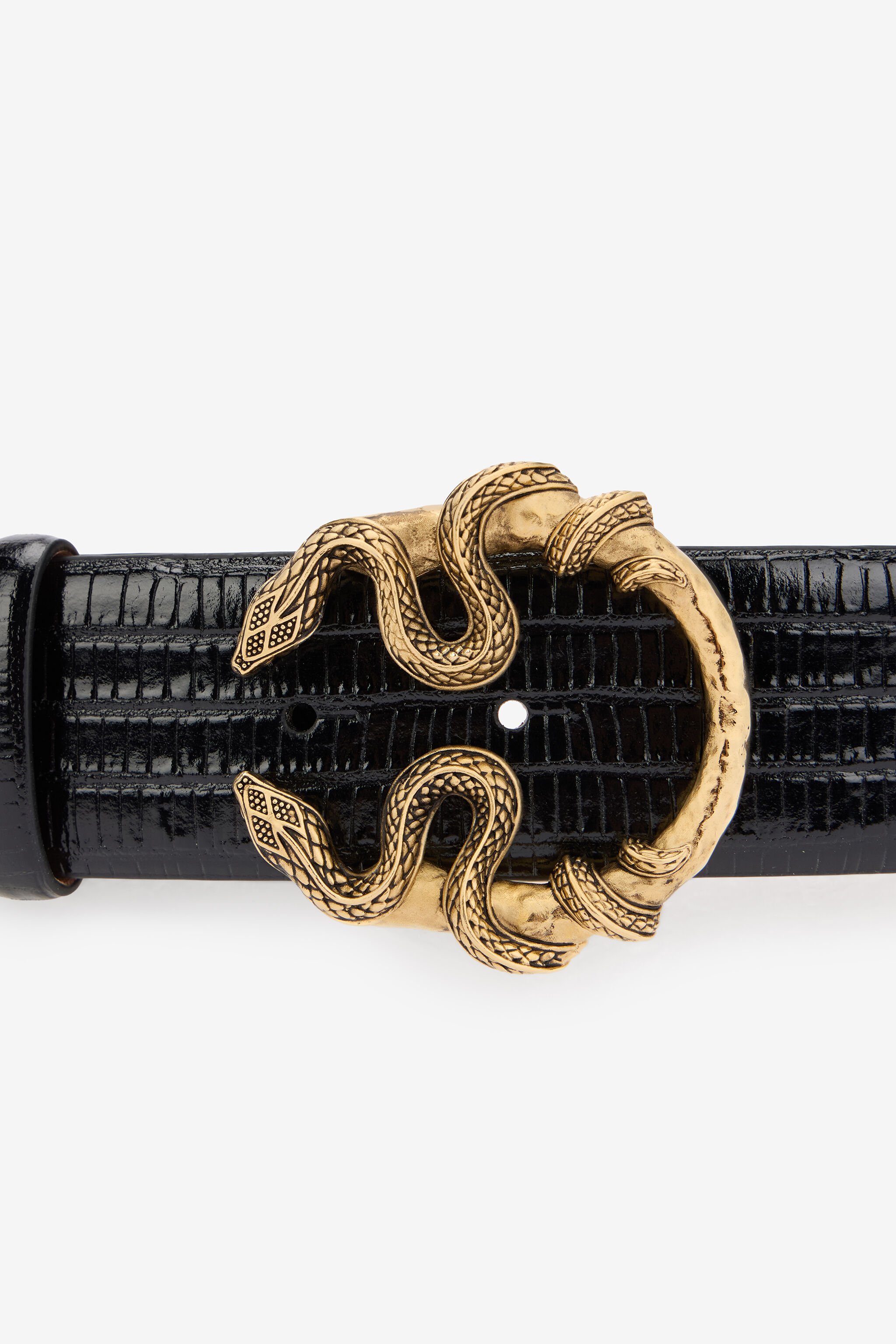 RC Cintura Nera In Pelle Con Fibbia Serpente BLACK WKC001-PZ119