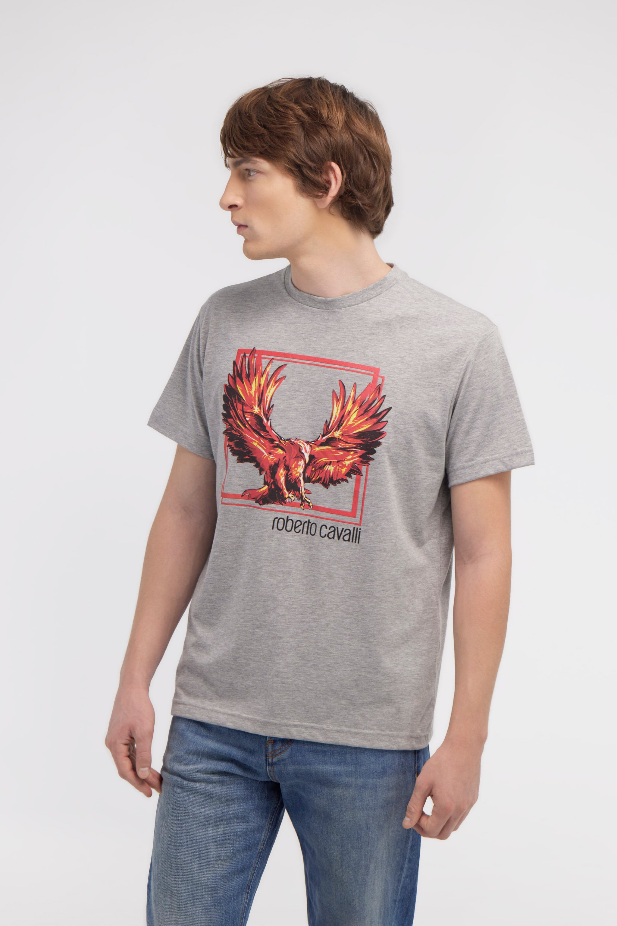 RC T-shirt with Eagle logo and print Gray NOT60E-JD016