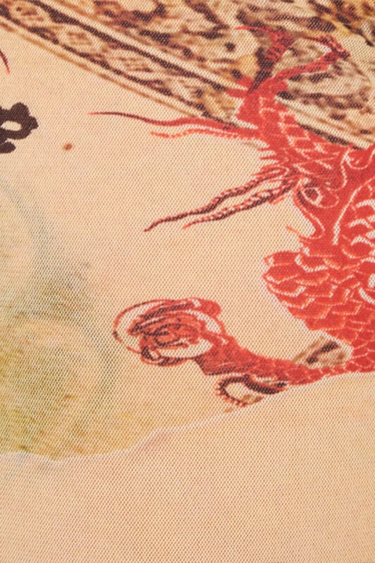 RC Pants with Oriental Print RC Pants with Oriental Print NATURALE/ROSSO VQT21A-TLQ00