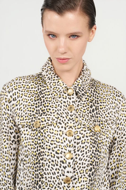 RC Pop Jaguar Animal-Print Jacket YELLOW/BLACK WQJ450-DAR30