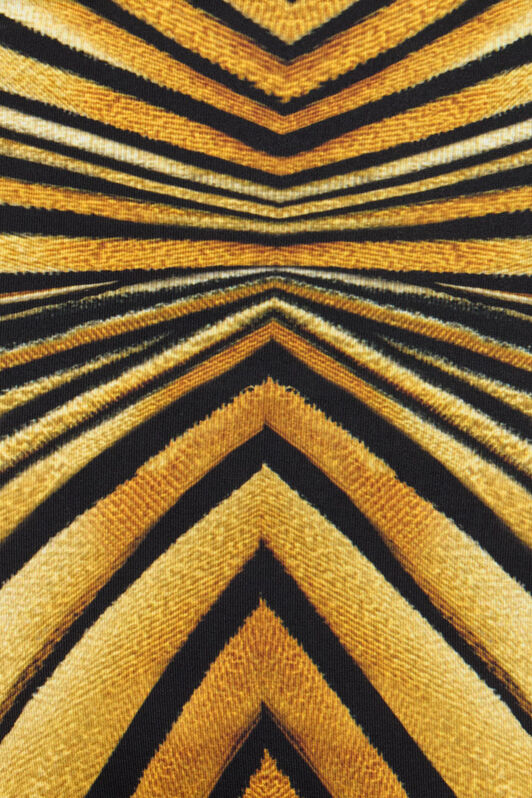 RC Ray Of Gold Print Jumpsuit GIALLO VKT128-LNM33