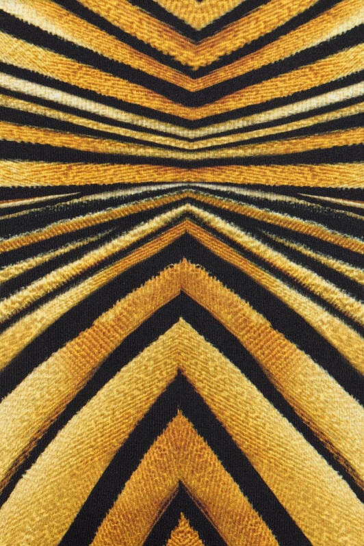 RC Ray Of Gold Print Jumpsuit RC Ray Of Gold Print Jumpsuit GIALLO VKT128-LNM33
