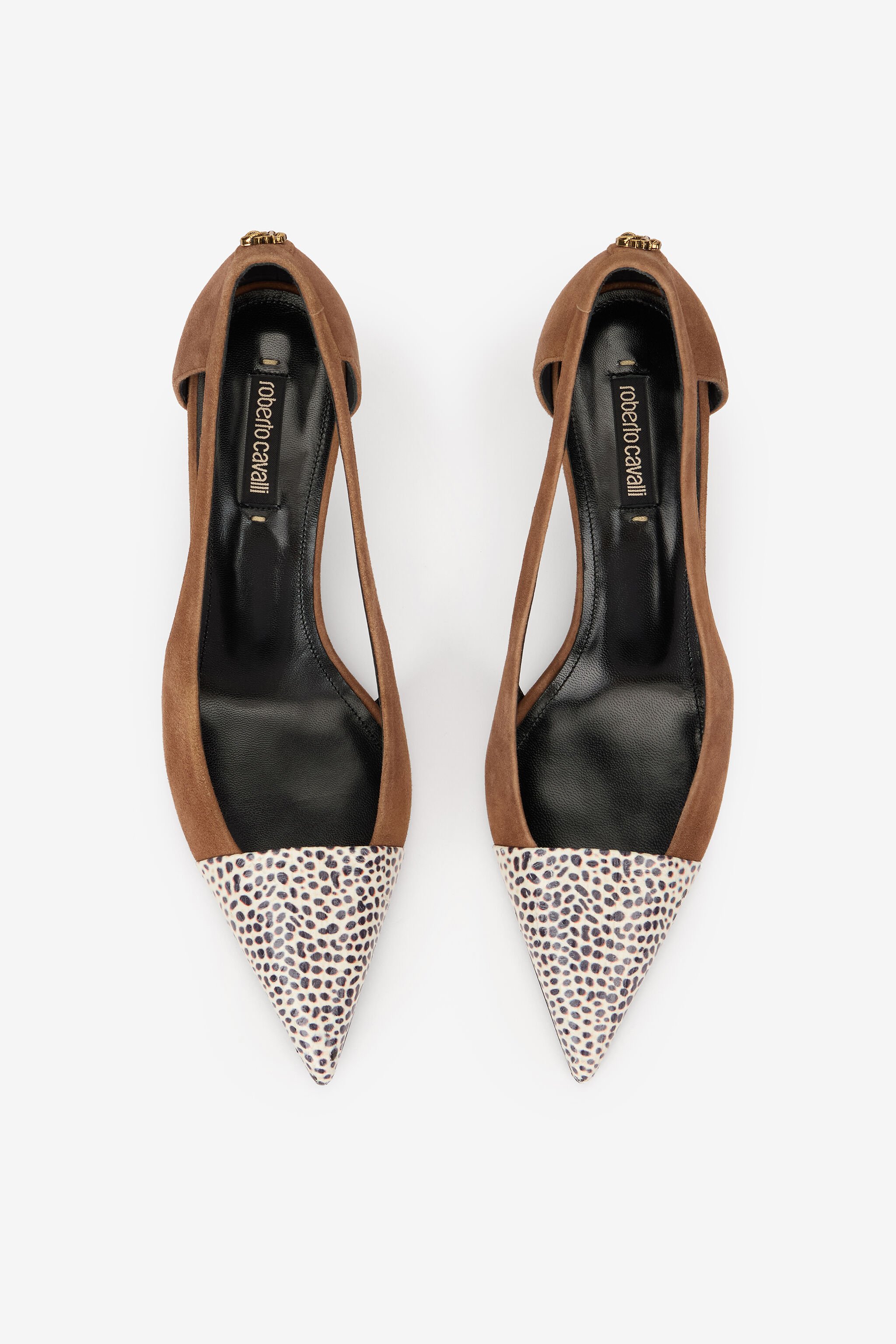 RC Shark Print Leather Pumps TABACCO/ST.SHARK TKS046-PA008