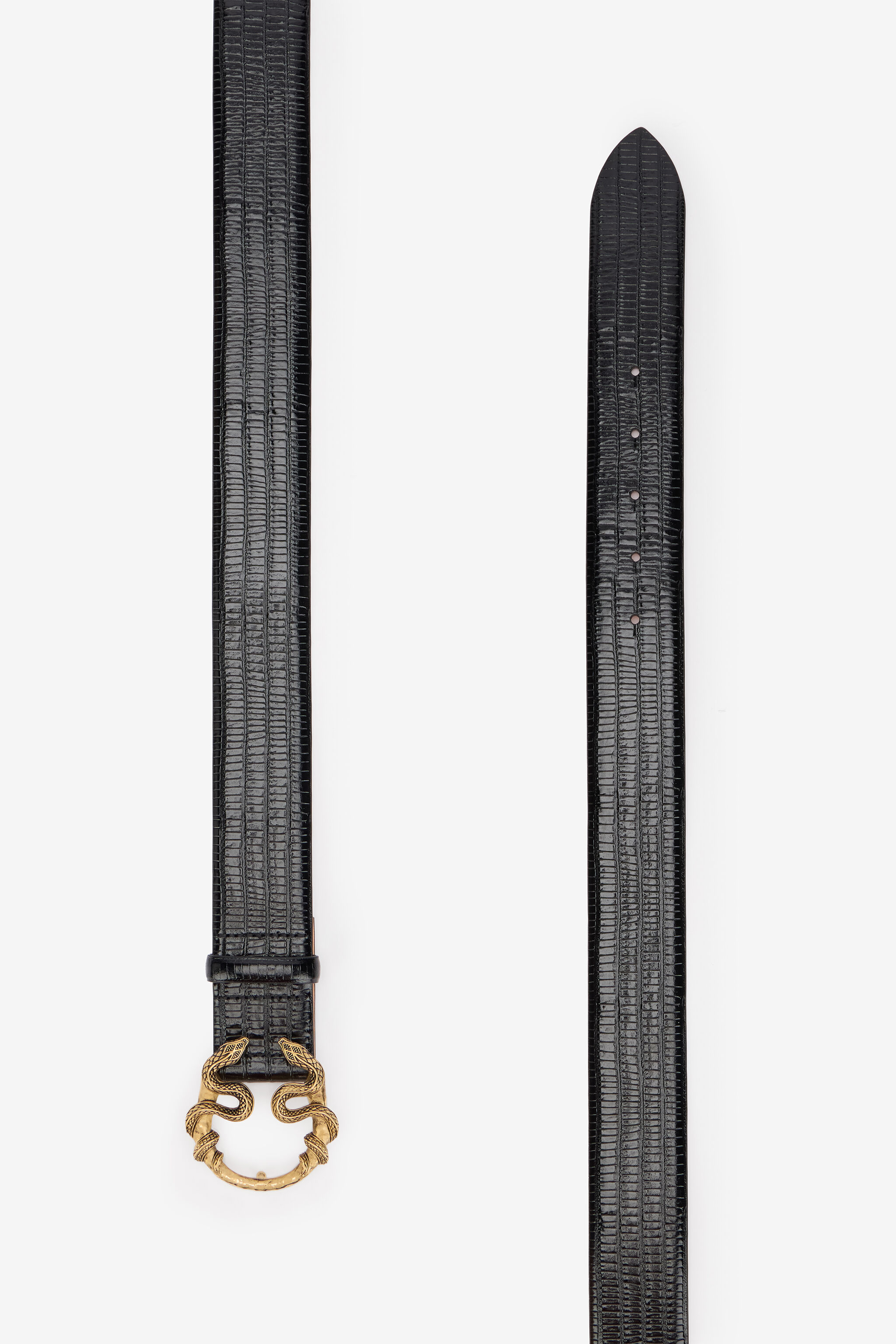 Serpentine Leather Belt in BLACK for Women | Roberto Cavalli®