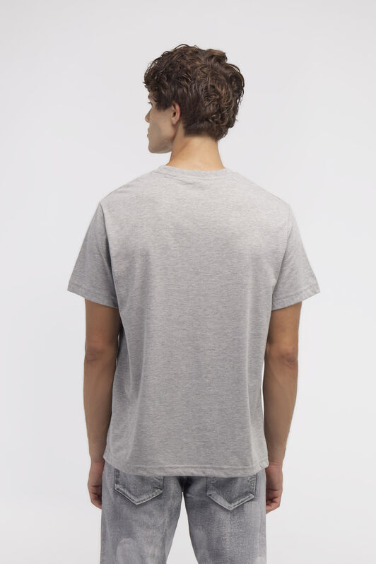 RC T-shirt con logo e stampa Cavallo Grigio NOT60D-JD016