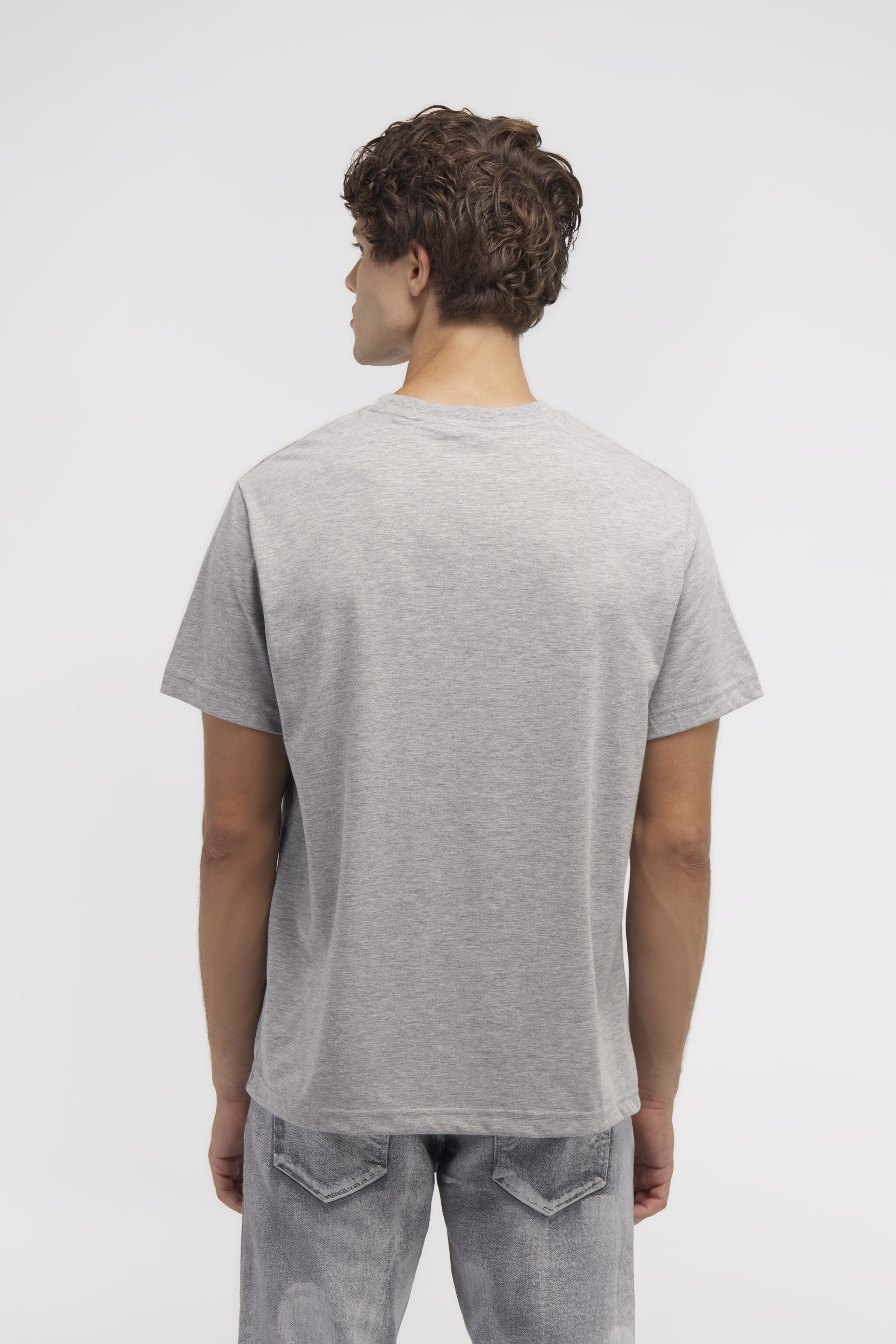 RC T-shirt con logo e stampa Cavallo Grigio NOT60D-JD016