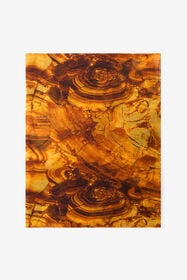 ${brand} Schal mit Ambra-Print ${colorDescription} ${masterID}