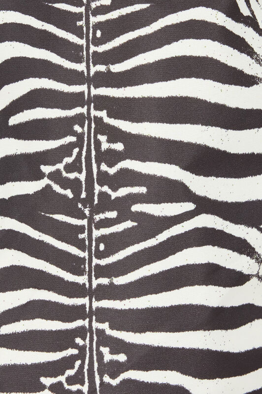 RC Zebra-Print Swim Shorts Black/White URH02M-5RN49