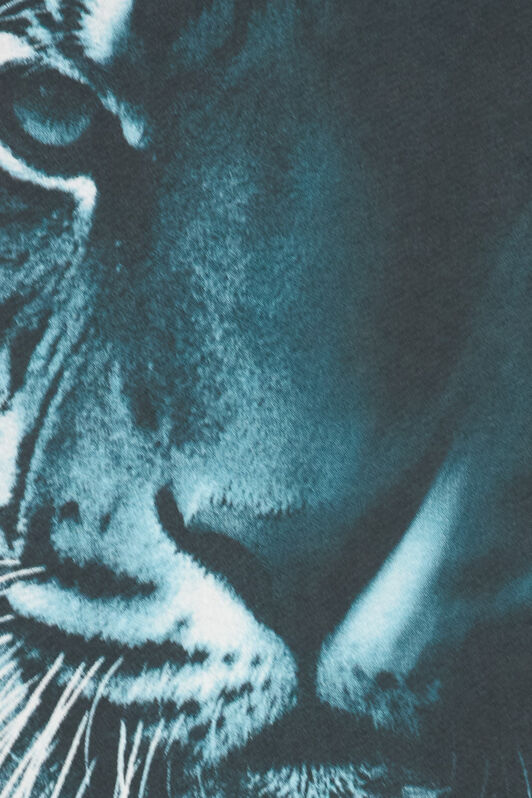 RC T-Shirt Mit Tigerprint BLACK/LIGHT BLUE OOT60H-JFO62