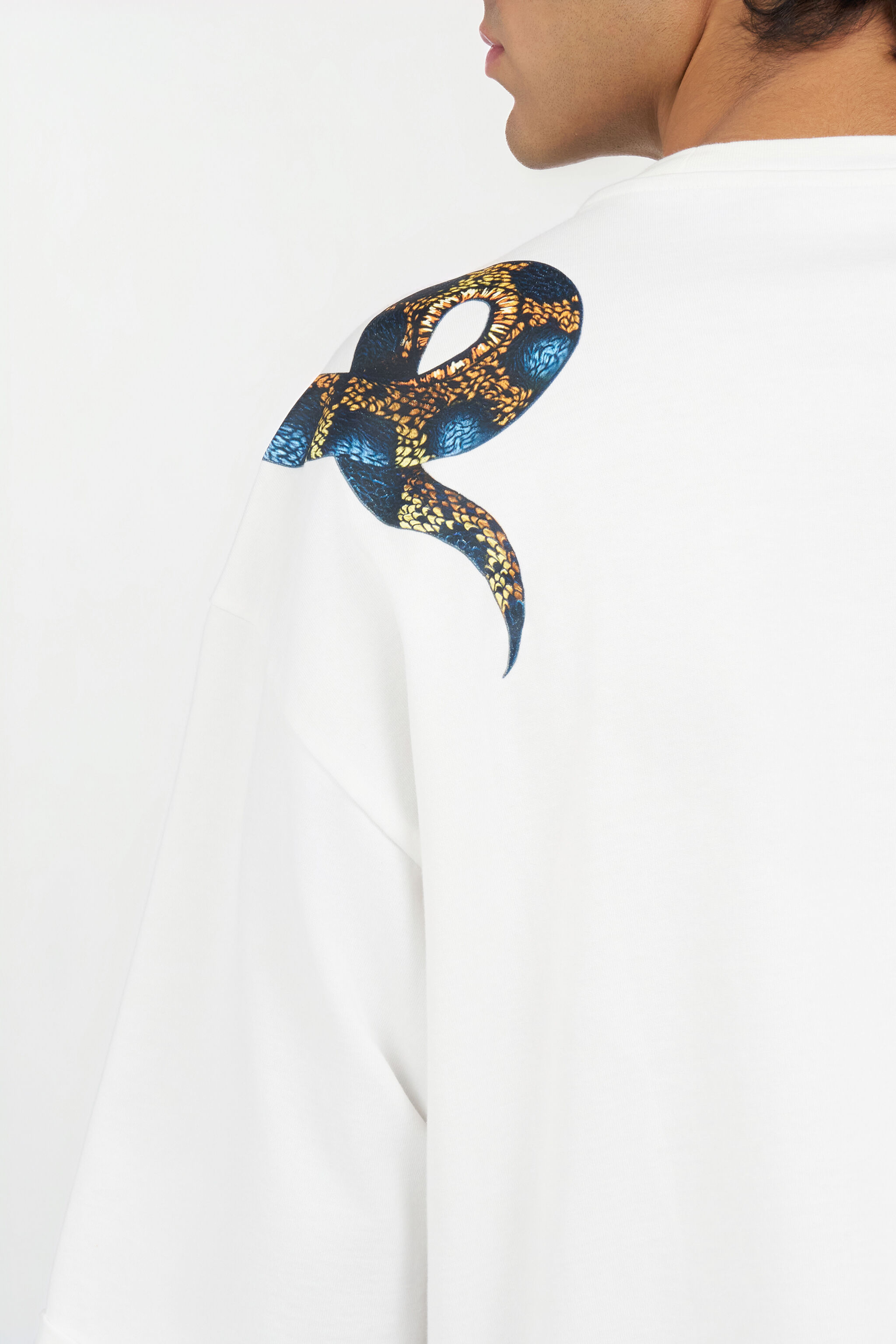 Oversized T-shirt with Snake Print in WHITE for Men | Roberto Cavalli®
