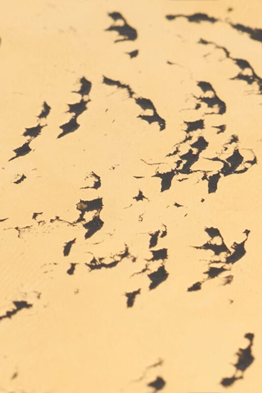 RC Antique Gold Choker Necklace with Snake OLD GOLD WWG003-AM001