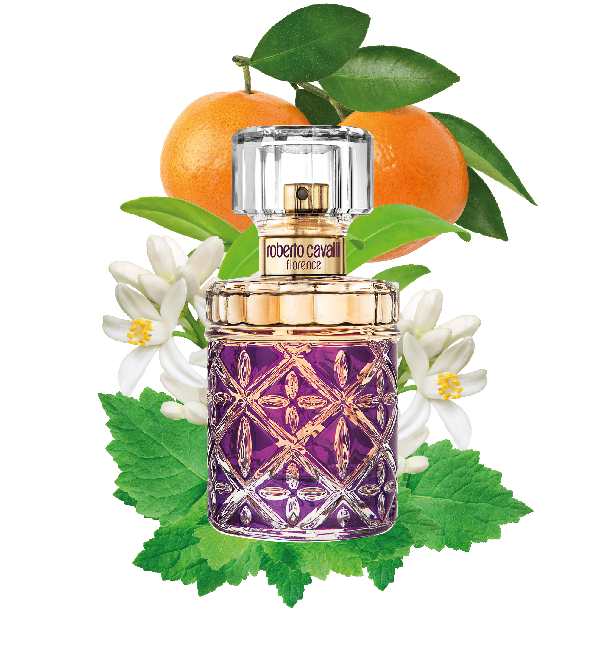 RC ROBERTO CAVALLI FLORENCE EAU DE PARFUM 50 ML Lila SAW013-SA020