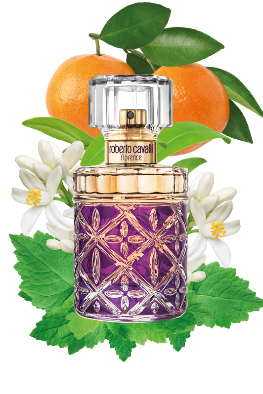 RC ROBERTO CAVALLI FLORENCE EAU DE PARFUM 50 ML RC ROBERTO CAVALLI FLORENCE EAU DE PARFUM 50 ML Lila SAW013-SA020