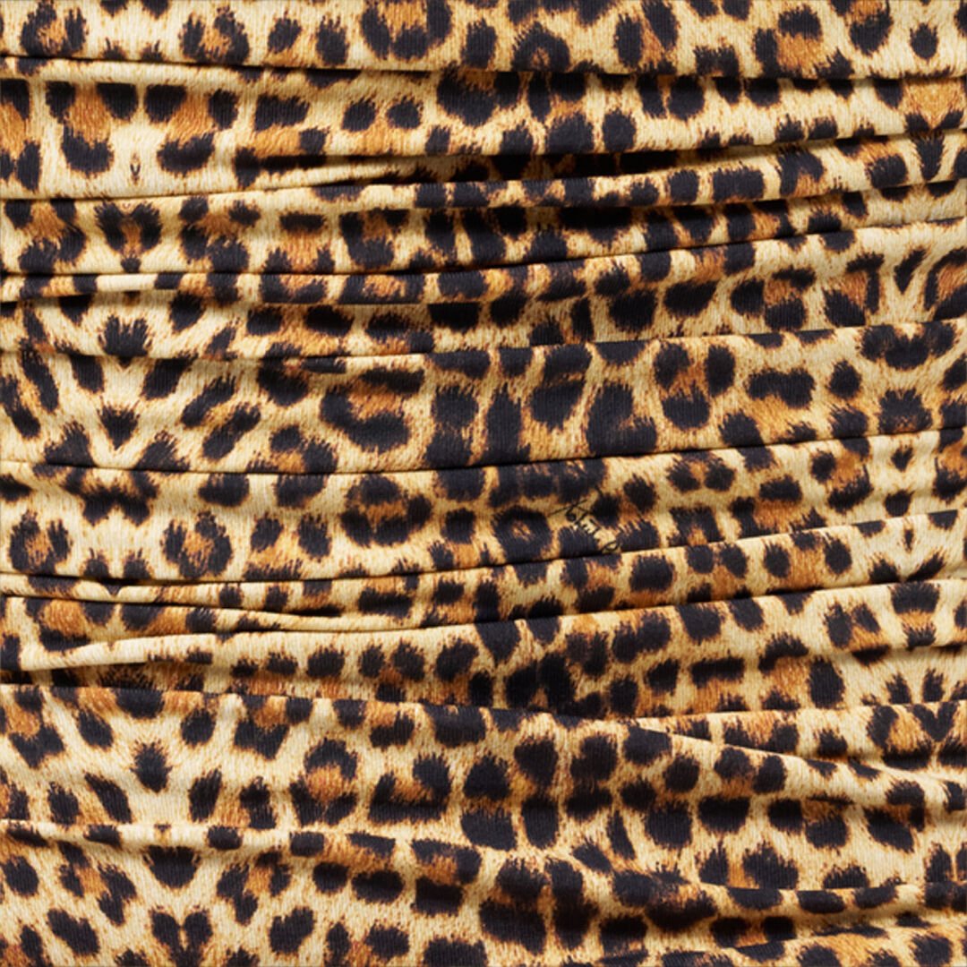 RC Top a Maniche Lunghe con Stampa Baby Jaguar RC Top a Maniche Lunghe con Stampa Baby Jaguar BROWN WQT600-LNR31