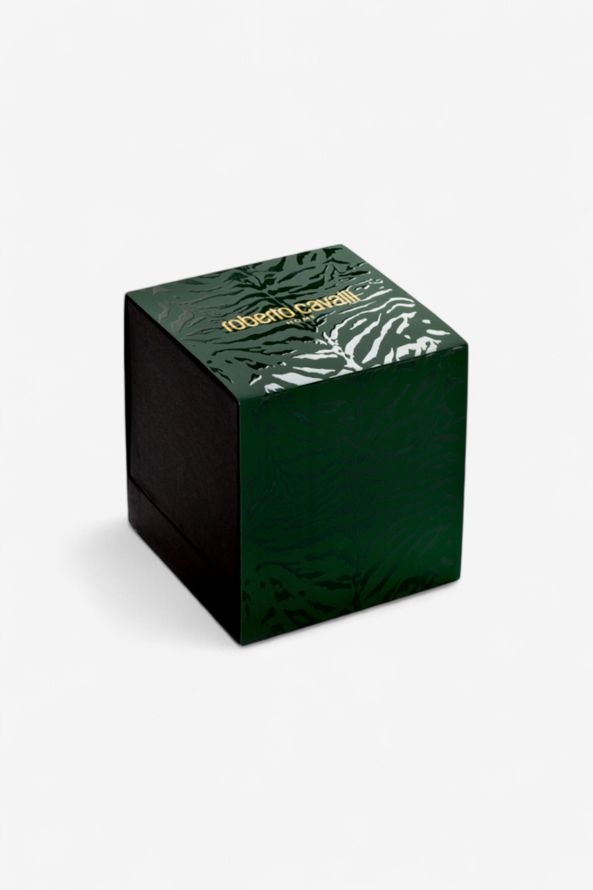 HO Wild Jungle Scented Candle 220 G Dark green TALA04-IA098