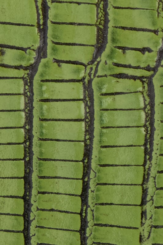 RC Green Leather Belt With Snake Buckle RC Green Leather Belt With Snake Buckle PISTACHIO WKC001-PZ119