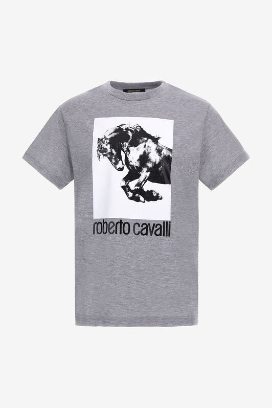RC T-shirt con logo e stampa Cavallo Grigio NOT60D-JD016