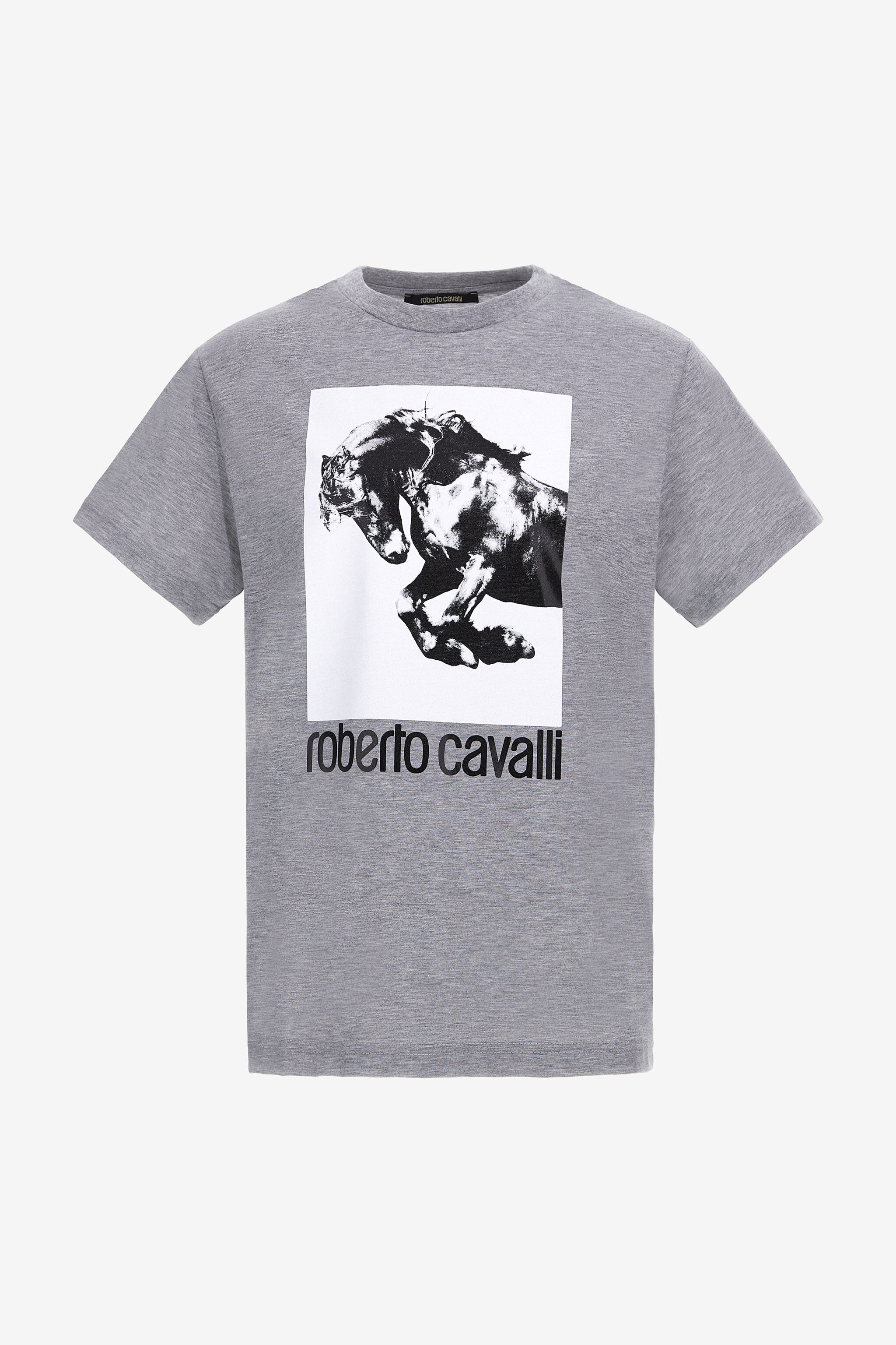 RC T-shirt con logo e stampa Cavallo Grigio NOT60D-JD016