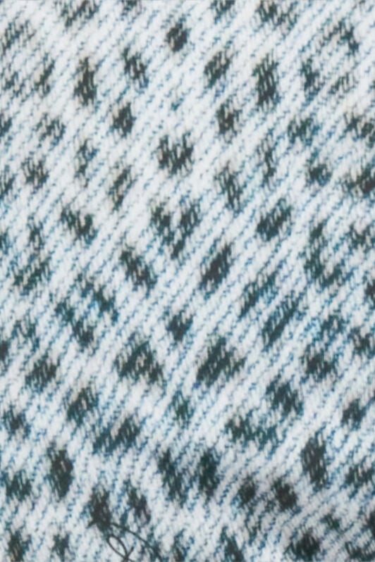 RC Swim Briefs with Baby Jaguar Print QUIET HARBOR WRH01G-LNR31