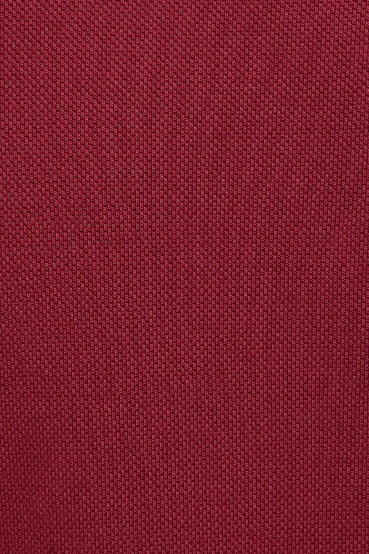 RC Bordeaux Polo With Snake Embroidery RC Bordeaux Polo With Snake Embroidery CABERNET ROT60F-KB003