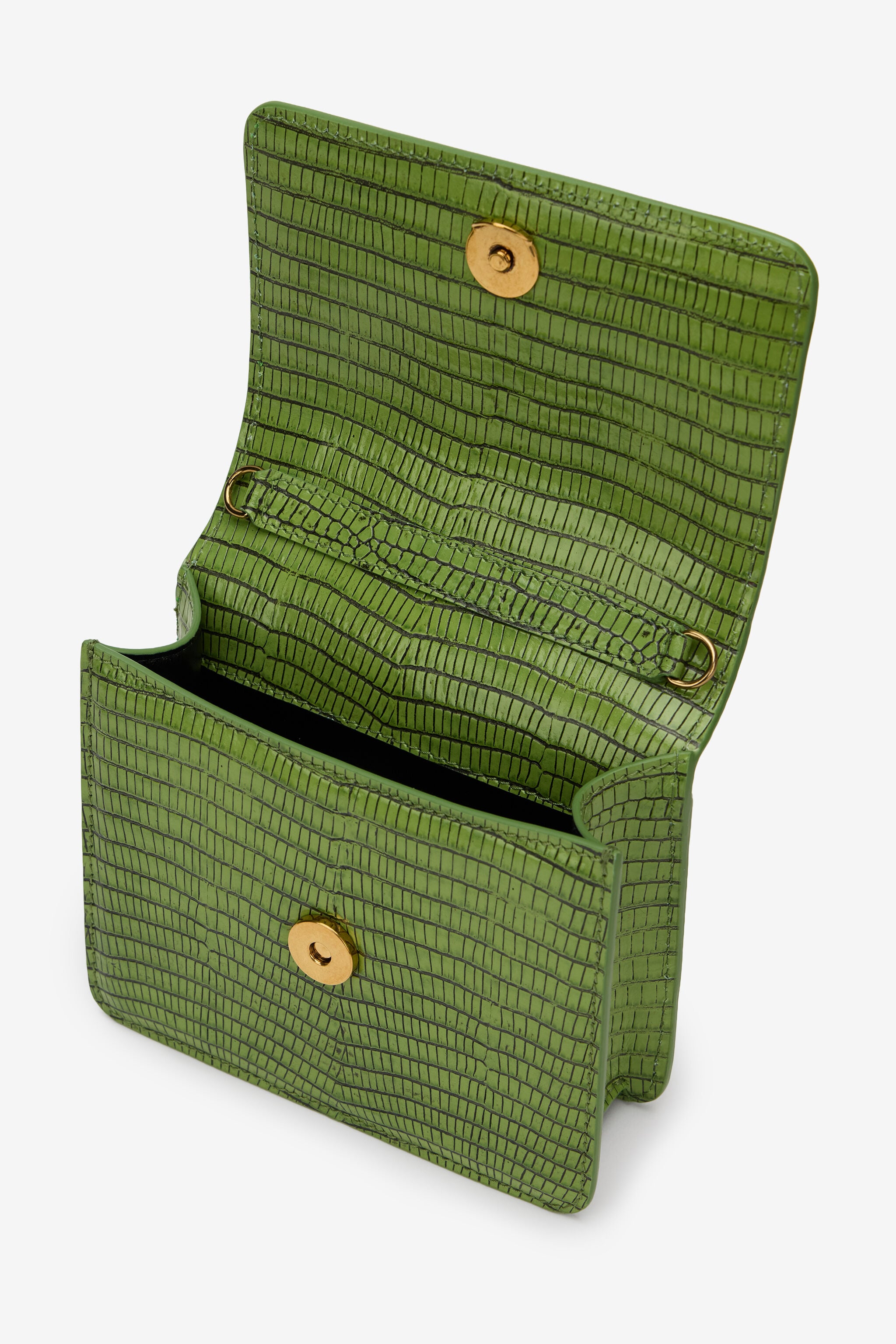 RC Small Serpentine Bag In Green Leather PISTACHIO WKB002-PZ119