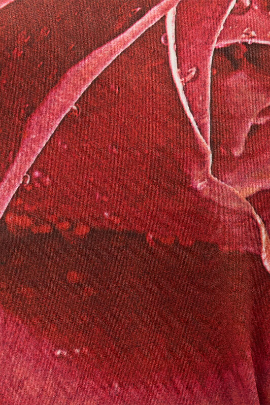 RC Leggings Mit Print Garden Rose Rot UKT25B-OON48