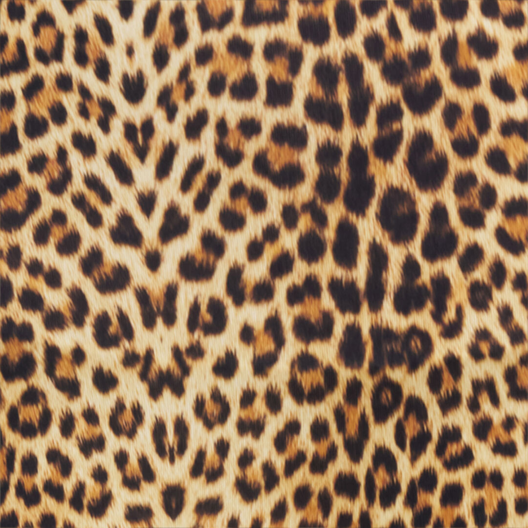RC Leggings Con Estampado Jaguar NATURAL WQT23A-LNQ71