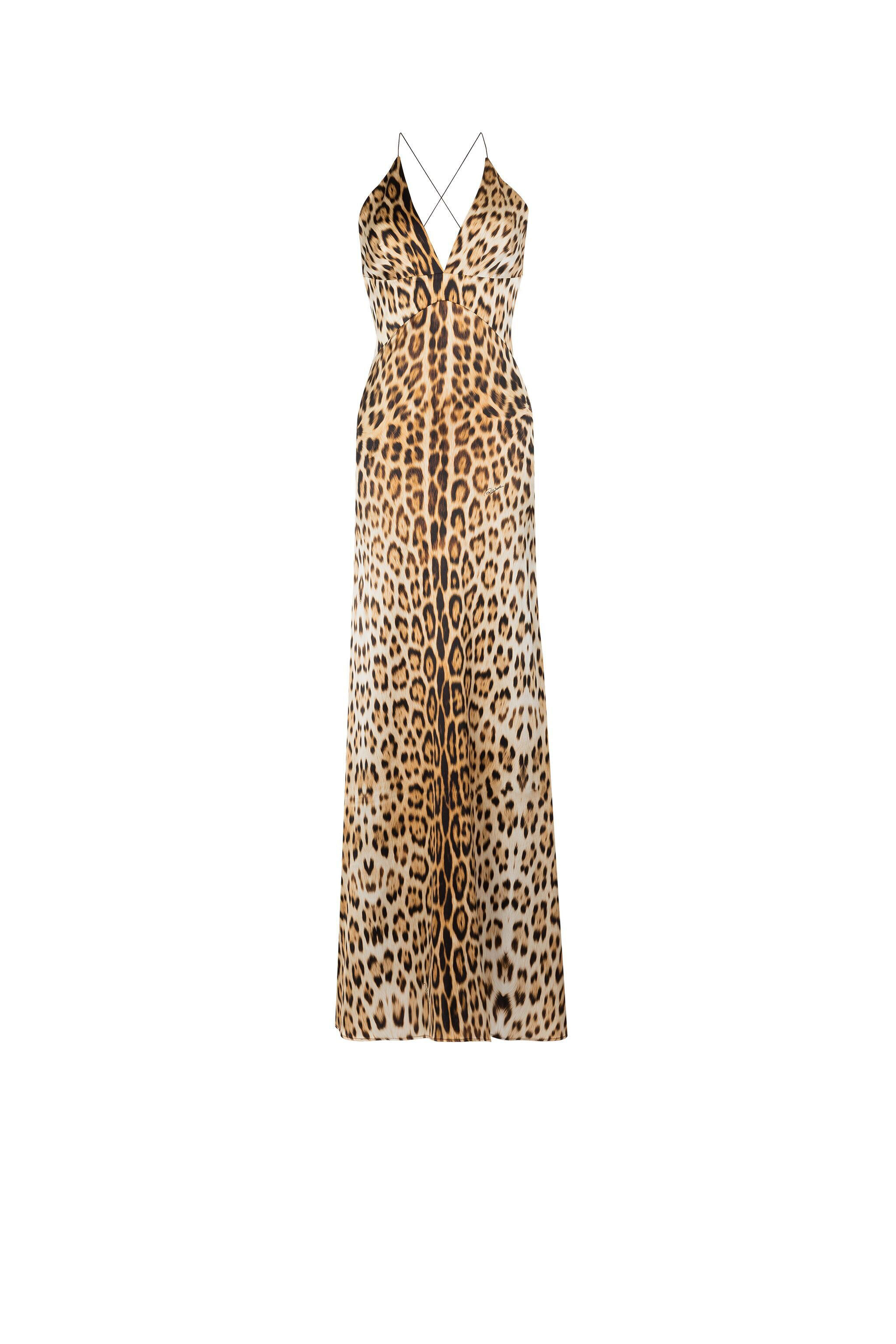 Leopard-Print Maxi Dress in Light Brown for Women | Roberto