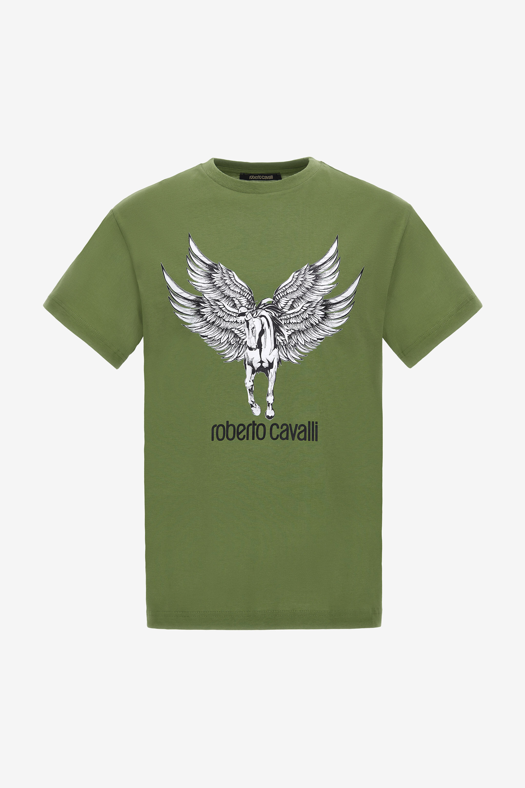RC T-shirt with Horse logo and print Green NOT60I-JD060