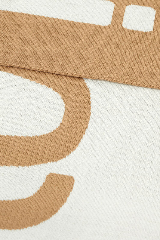 RC Wool Blend Scarf with Logo Light Brown TALR37-IR054